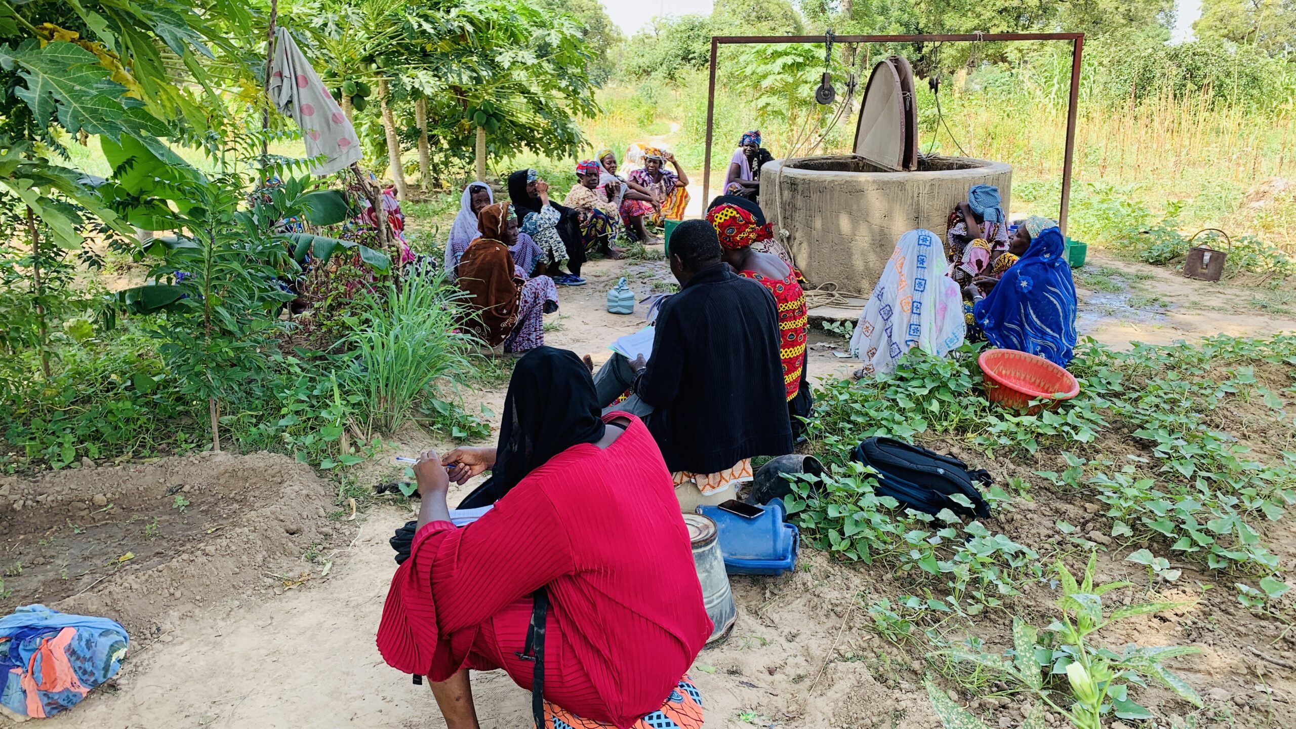 Lire la suite à propos de l’article Evaluation du périmètre maraicher de DJADO financé par l&rsquo;ONG CAD MALI ( SEGOU)